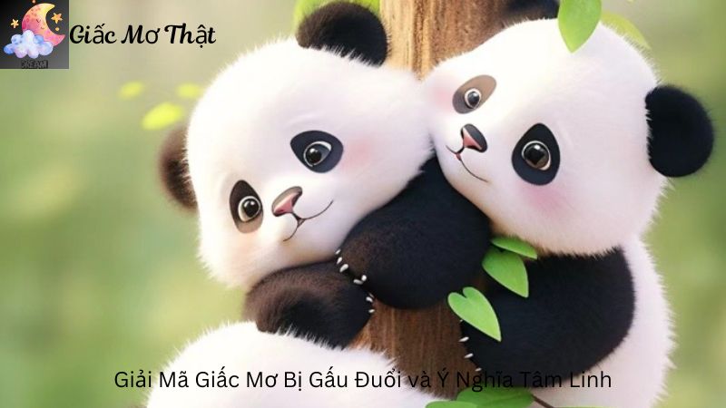 Giải Mã Giấc Mơ Bị Gấu Đuổi và Ý Nghĩa Tâm Linh