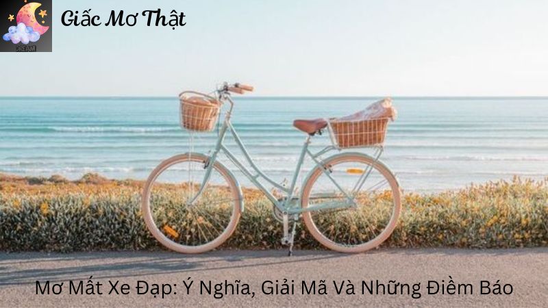 Mơ Mất Xe Đạp: Ý Nghĩa, Giải Mã Và Những Điềm Báo