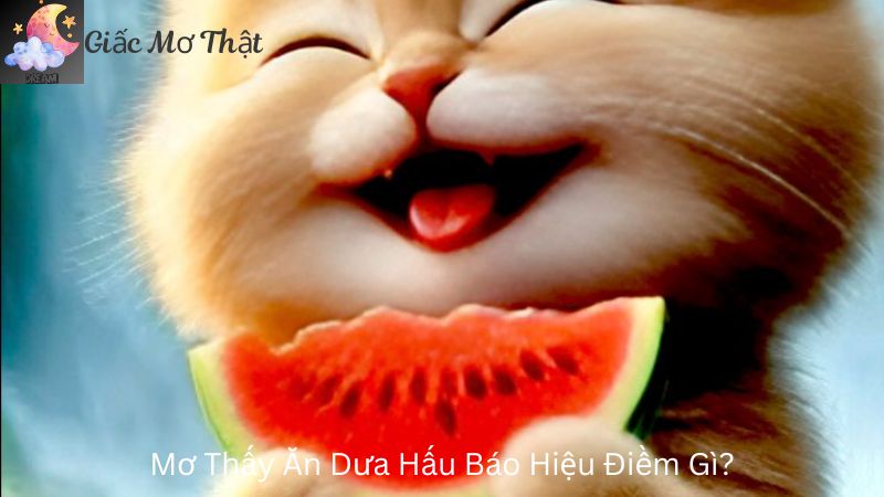 Mơ Thấy Ăn Dưa Hấu Báo Hiệu Điềm Gì?