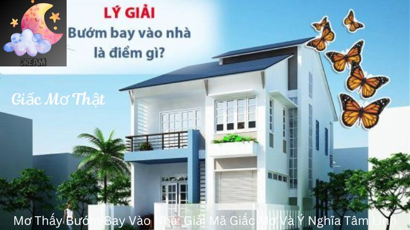 Mơ Thấy Bướm Bay Vào Nhà: Giải Mã Giấc Mơ Và Ý Nghĩa Tâm Linh [2024]